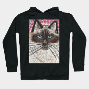 Siamese cat face watercolor painting Hoodie